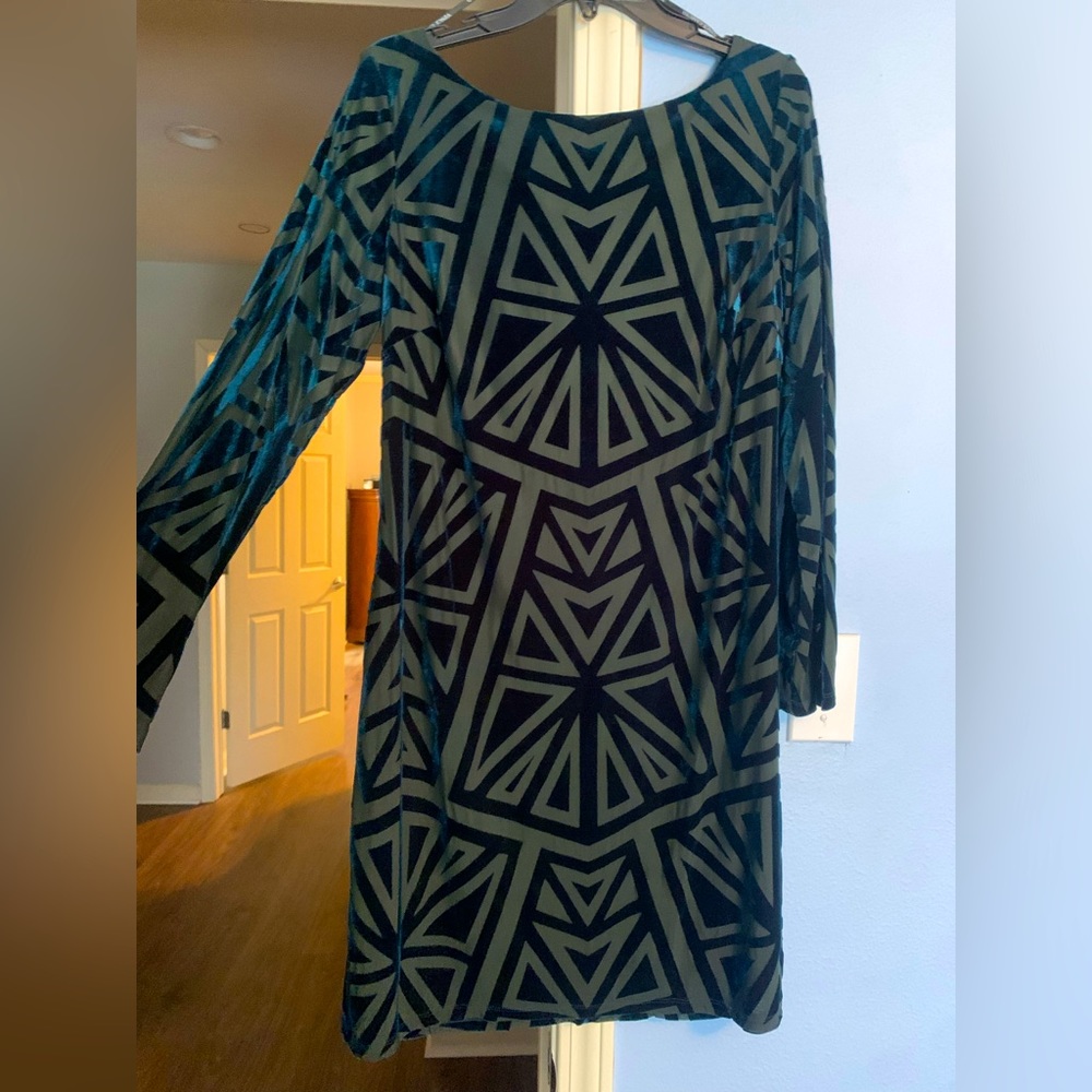 Vince Camaro green dress! Worn once